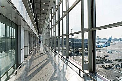 冒险游戏《恐龙》Steam页面上线 支持中文